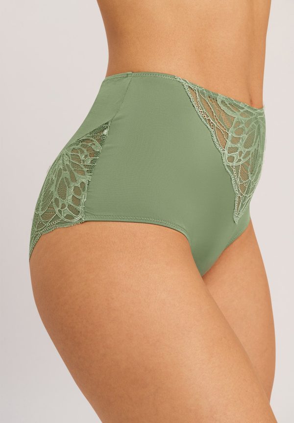 Elia Full Brief - Image 5