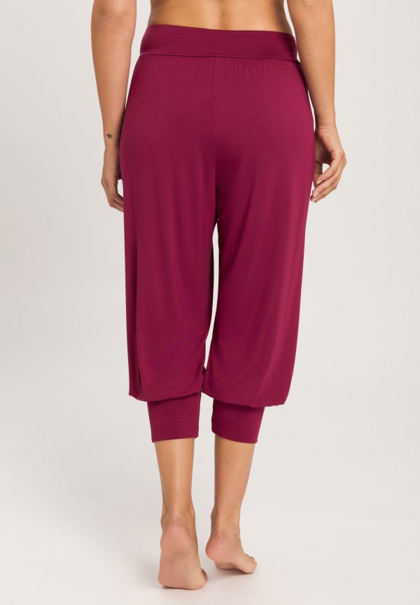 Yoga Crop Pants - Image 3