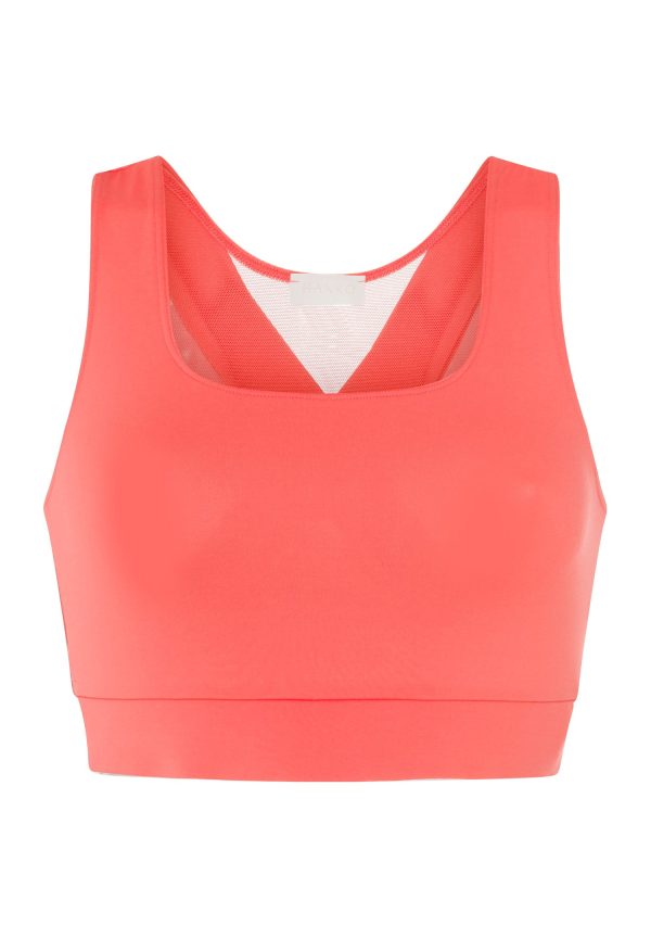 Balance Crop Top