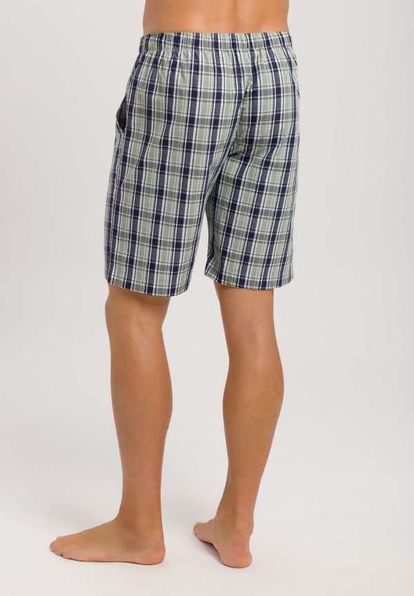 Night And Day Drawstring Cotton and Linen Shorts - Image 3