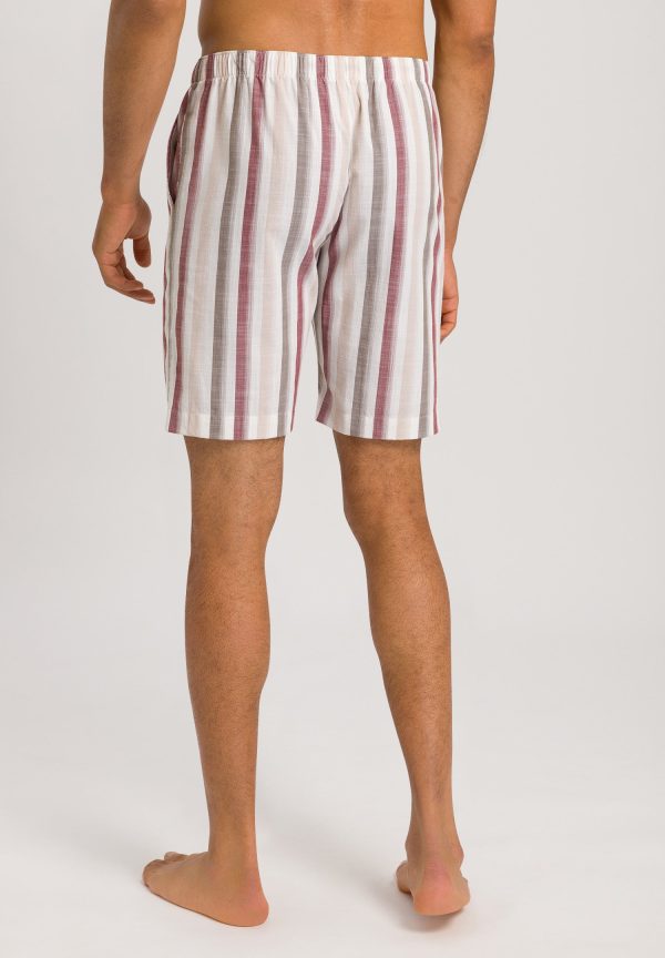Night And Day Drawstring Cotton and Linen Shorts - Image 3